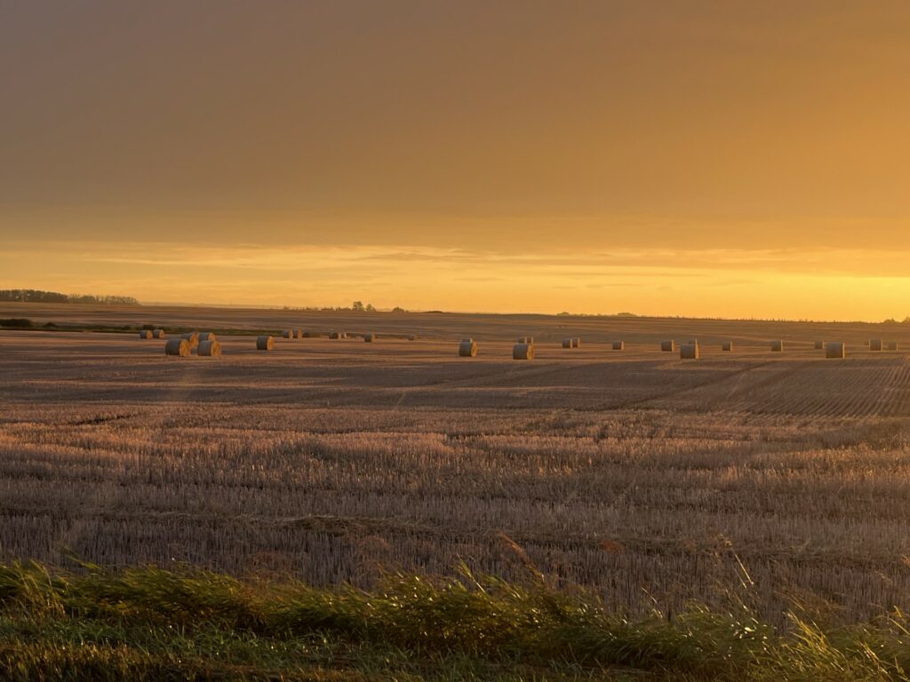 Events Ten Brummelhuis Bales