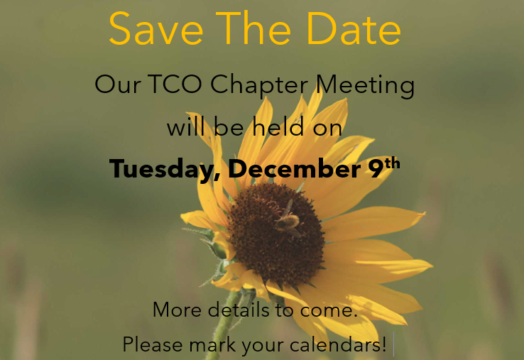 Chapter 3 and 5 Save the Date