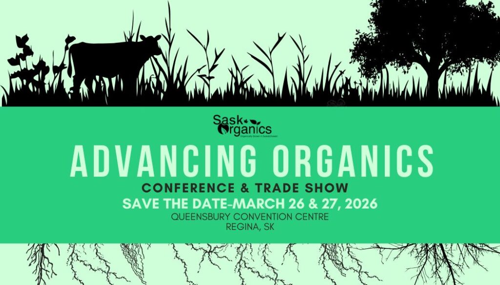 642332628 1529672822491641 7911575400594375819 n 1