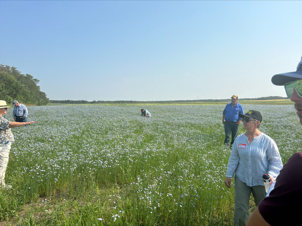 Field Day at Schill Family Farm processed 1460E486 7AF9 408E 84F2 88C7C3545090