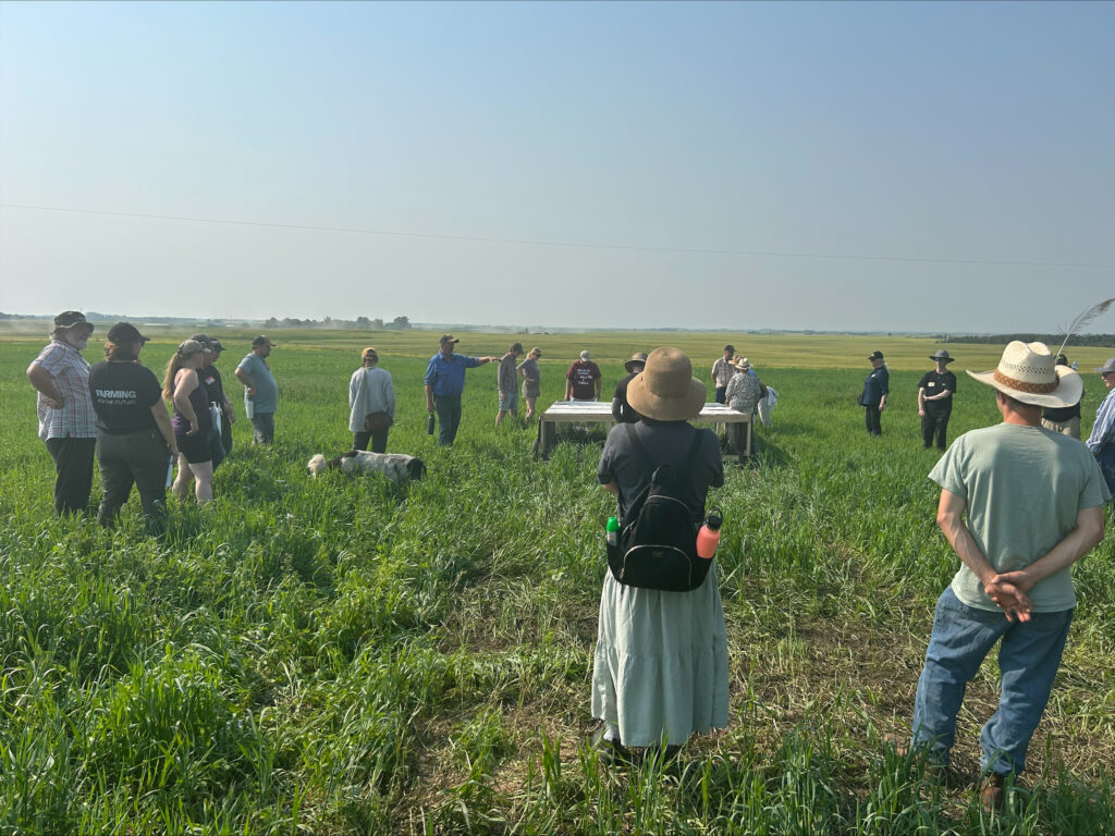 Field Day at Schill Family Farm processed 43EC8AF5 8C4E 4CC2 930A 39FD26EDE1A9